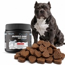 Dog Weight Gainer & Muscle Builder - High Calorie Lean Treats for Dogs - Whey Protein Supplement - Appetite Booster Salmon Food Topper for Underweight, Senior & Active Breeds (100 Ct)