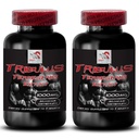 Muscle Strength Support - TRIBULUS TERRESTRIS EXTRACT - Energy Recovery, Active Stamina Boost, Physical Endurance, Dynamic Strength Booster, Energy Flow System, Strength Power 2 Bottles 180 Tablets