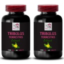 Tribulus Terrestris product - TRIBULUS TERRESTRIS EXTRACT - Pure Tribulus extract, Tribulus concentrate, Tribulus Terrestris uses, Tribulus extract benefits, Tribulus Terrestris plant 2 Bot 120 Caps