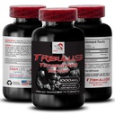Vitality Support - TRIBULUS TERRESTRIS Extract - Dynamic Muscle Recovery, Energy Efficiency, Natural Athletic Boost, Physical Support Formula, Strength & Stamina, Active Support 1 Bottle 90 Tablets