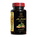 Longjack Tongkat Ali for Men – Energy Booster for Active Lifestyle - Root-Based Support to Complement Your Wellness Goals - Daily Stamina Support - 1 Bottle 60 Capsules