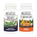Host Defense Bundle con MycoBotanicals Brain* Capsules, 60 Conde & Cordyceps Capsules, 60 Conde - Soporte Memoria & Focus - Apoyo Immune Health & Energy*