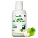 Liquid Chlorophyll Apple Flavored – Cold Extracted from Wild Non-GMO Alfalfa - Alkaline - Natural Body Deodorant – Antioxidant - 16 fl oz