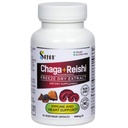 Sayan Siberian Chaga and Organic Reishi Mushroom Extract Supplement – 90 Capsules/440mg Cada - Wild-Harvested, Antioxidant Blend for Immune System Support + Natural Energy Boost, Non-GMO, Gluten Free