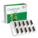 EDMARK EDLIFE Chlorophyllin | 240mg Capsules | 20 Veg Capsules | Plant-Based | Water-Soluble Chlorophyll | Green Supplement | Daily Wellness | Vegetarian Capsules