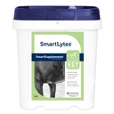 SmartEquine SmartLytes, 3.7 lb, 56 Servings