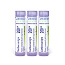 Boiron Sambucus Nigra 200Ck Homeopathic Elderberry for Hoarseness with Painful Cough and Nasal Congestion - Pack of 3 (240 Pellets)