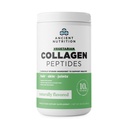 Péptidos Vegetarianos de Nutrición Antigua, Péptidos de Collagen Polvo, Pólvora Collagen con Sabor Natural, Prebióticos y Probióticos, Apoyos Esquí sano, Pelo, Juntas, Digestión, 28 Servimientos