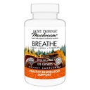 Anfitriona de Defensa Breathe* Capsules - Immune &amp; Respiratory Support Mushroom Supplement - Herbal Lung Health Supplement with Chaga, Reishi & Cordyceps - 120 Capsules (60 Servings)*