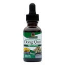 Respuesta de la naturaleza Dong Quai Womens Support Supplement - Mujer Hormonal Support, Mujer Wellness Supplement, Liquid Extract, Alcohol Free, Gluten Free, Kosher - 1 oz