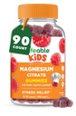 Gummies de Magnesio Lifeable para niños ← 900mg Citrate de Magnesio  Gran Tasting Kids Magnesium Supplement ← Gluten Free Muscle Support and Stress Relief Chewable ← 90 Gummies