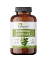 Cápsulas de Moringa Orgánica – 120 Conde Silencio Pure Moringa Oleifera Leaf Powder Pills ← Superalimentos Naturales Suplemento Silenciosos Herbal Energía y Antioxidante Apoyo  Vegan, Non-GMO, Single Origin Malunggay