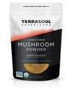 Terrasoul Superfoods Mane Mushroom de León Orgánico Polvo (4:1 Extracto), 5.5 onzas