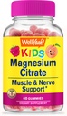 WellSí Magnesium Citrate Gummies for Kids - Chewable Stress Relief Supplement for Children - Natural Calm, Mood Support, Non-GMO, Gluten Free - Natural Sourced Flavors - 60 Gummies