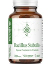 Bacillus Subtilis Spore Based Probiotic — High Potency Strain with Prebiotic for Balanced Belly Silencio Daily Gut Health & Microbiome Support for Family TEN 6 Billion CFU Por Day TEN 90 Vegetarian Capsules
