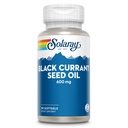 SOLARAY Black Currant Seed Oil 600 mg - Suministro de Antioxidantes, Gamma Linolenic Acid (GLA), Alpha Linolenic (ALA) y Ácido Linoleico (LA) - Asistencia para la salud de la piel - Garantía de 60 días, 90 Serv, 90 Softgels