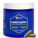 Cordyceps Mushroom Capsules - 1000mg Cordyceps Extract & 125mg Yerba Mate Extract - 100% Fruiting Body Mushroom Suplemento - Apoyos Brain Energy &amp; Cognitive Performance - 60 Yerba Mate Capsules