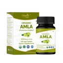 Amla 120 Tabletas – USDA Organic Indian Gooseberry – Rich in Vitamin C &amp; Supports Immune Health*