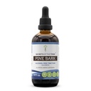 Secretos del Tribe Pine Bark Extracto líquido libre de alcohol, Barco de pino salvaje (Pinus strobus) Barco seco (4 FL OZ)