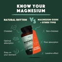 Natural Rhythm Calm Digestion Bundle - Triple calma Magnesium (120 cápsulas) + Digestivo calma Probiótico (60 cápsulas)