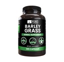 Ingredientes originales puros Grasa de cebada (365 capsules) No hay magnesio o rifles de arroz, siempre puro, Verificado de laboratorio