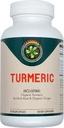 Carnivora Turmeric – Apoyo a las Juntas y la Salud Digestiva (90 cápsulas Vegan)