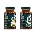 Gaia Herbs Lion’s Mane Mushroom - Ayuda a mantener la salud neurológica - 120 Vegan Liquid Phyto-Capsules & Holy Basil Leaf - Ayuda a mantener una mentalidad positiva y equilibrio en tiempos de estrés - 120 Vegan Li