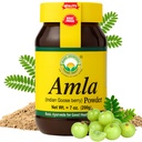 BASIC AYURVEDA Amla Powder 7.05 Oz (200gm) Ø 100% Raw &amp; Natural Indian Gooseberry (Amalaki) for Hair, Skin &amp; Immunity TEN No Additives TEN Ideal para Smoothies, DIY Masks, Herbal Use &amp; Wellness