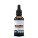 Secrets of the Tribe Tribulus Tincture Extracto libre de alcohol, gotas herbales de alta potencia, Tintura Hecha de papel salvaje Turquía Tail (Trametes Versicolor) Mushroom seco 2 oz