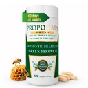 Beelife Green Propolis Capsules- 100% Green Propolis and Bee Pollen Capsule Supplement- Propolis Extract, Authentic Brazilian - Certified ISO 22000, Kosher (120 cápsulas)