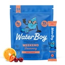 Waterboy Weekend Recovery ← 3,200mg Electrolyte Powder Packets  Ginger + L-Theanine + Vitamins ← No Sugar, All Natural, Gluten Free ← 24 Drink Stick Mixes (Fruit Punch)