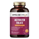 Folate-L 5-MTHF DFE Suplemento - Methylfolate B9 MTHF con vitamina B12, CoQ10, & Red Raspberry - Methylfolate L-Methylfolate para hombres y mujeres - 500 mcg - 90 cápsulas vegetales