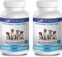 Suplementos de la vejiga para perros - Urinary Tract Support - para perros - Advanced Complex - CHEWABLE - Corn Silk for Dogs - 2 Bottle (180 Chews)