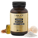 Soy Joy co. Ormus Shilajit Lion's Mane - Ultimate Brain Power! Monoatomic 24k Gold - La única mezcla de su tipo de energía, memoria, " Focus - 60 cápsulas Vegan