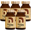 Fucoidan 3-Plus Marrón Seaweed Immunity Suplemento con Tres Tipos de Alta Puridad Fucoidan Orgánico Mekabu Fucus Mozuku Agaricus Hecho en Japón (Vegetable Capsule, 5 Bottles)
