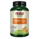 AHORA Pet Health, L-Lysine Supplement, Powder, Formulado para gatos, certificado NASC, 8-Ounce