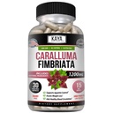 Kaya Naturals - Caralluma Fimbriata 1200mg High Potency Supplement TEN Maximum Strength Natural Endurance Support, Vegetarian Capsules (30 Conde)