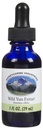 HoneyCombs Wild Yam Extract Liquid 1 oz | Alcohol Free, Wild Yam Root (Dioscorea), Dioscorea Drops, Glycerite Tincture, Made in USA