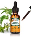 Herb Pharm Kids Certified Alcohol-Free Sinus Samurai Liquid Drops, Herbal Formula, 1 Oz