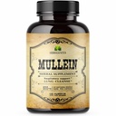 Extracto de hoja de Mullein HERBALICIOUS para los pulmones – Detox pulmonar para los fumadores y apoyo respiratorio – Suplemento herbal para la limpieza del pulmón, la desintoxicación y el bienestar digestivo – Vegan, No GMO, 100 cápsulas