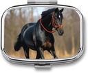 Caja de Pill Caja de Píldora Portable para Caballo de Bolsillo en el césped Organizador de Pequeñas Píldoras 2 Contenedor de Contenedor de Metal Compartimiento para Medicina Vitaminas Suplementos de aceite de pescado