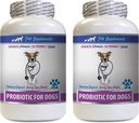 Restauración de la Guta del Perro - PROBIOTICS for Dogs - Gut saludable - Stop Gas Diarrhea and Bad Breath - Digestive Boost - enzimas probióticas del perro - 2 Botellas (120 Treats)