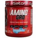 iSatori Amino-GRO BCAA Powder, Aminoácidos de cadena ramificados con Glutamina, Polvo de electrolito " Bio-GRO Péptidos activos para el crecimiento muscular " Recuperación de Post Workout, Blue Razz Snow Cone (30 servidos)