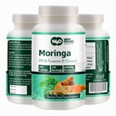 Moringa Tablets with Turmeric and Ginger, 300 Pills, 5 Month Supply, 150 Serving, 1000 Mg por Serving. One Capsule with Multiple Benefits - Supports Digestive Health(Pack of 1)