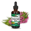 La respuesta de la naturaleza Valerian Root ← Promueve el sueño reparador calmas " calmas " viv Super Concentrated 1000mg ¦ Gluten-Free, Alcohol-Free, Kosher Certified " Vegan 2oz (Pack of 2)