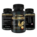 Gallobiótico Multivitamina Natural para Gallos, Hens - 100 Tablets TEN Vitamina Completas para Gallos