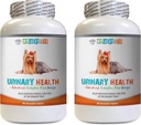 Soporte para la vejiga de perros - Dog Urinary Health Formula - Ayuda con problemas de incontinencia y vejiga - Immune Boost - Dog Cranberry Suplemento chew - 2 Bottles (180 Treats)