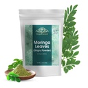 Moringa deja al Polvo Oleifera Hoja Shigru Grande en Bebidas y Smoothies 16 Ounce