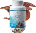 MushroomScience Reishi Mushroom Capsules, Super Strength Full Spectrum Extract, Suplemento natural de baño para adultos, Setas extraídas de agua caliente, Apoyo a la salud, Vegetariano, 400MG, 90 CT