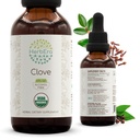 HerbEra Clove B60 USDA Organic Tincture ← Alcohol-Free Extract, High-Potency Herbal Drops, Immune System Health ← Certified Organic Clove (Syzygium Aromaticum) Dried Flower Buds (2 fl oz)